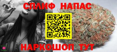 сатива Ставрополь