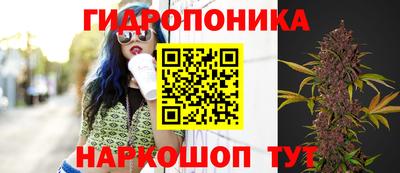 сатива Ставрополь