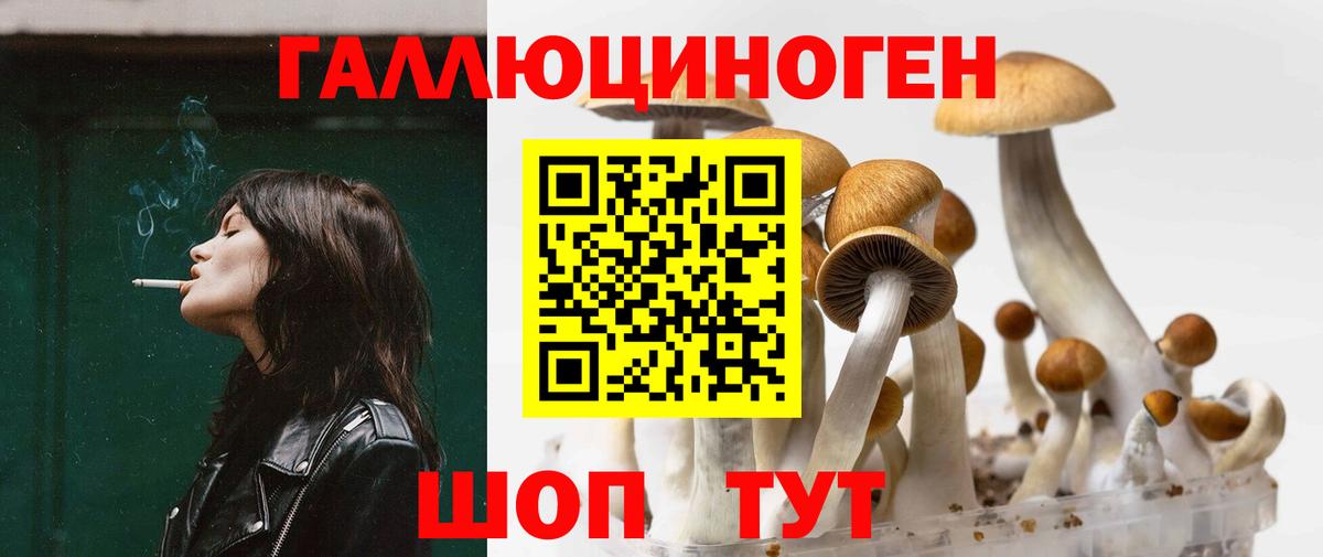 Псилоцибиновые грибы ЛСД  наркотики  Тосно  Вход с VPN 